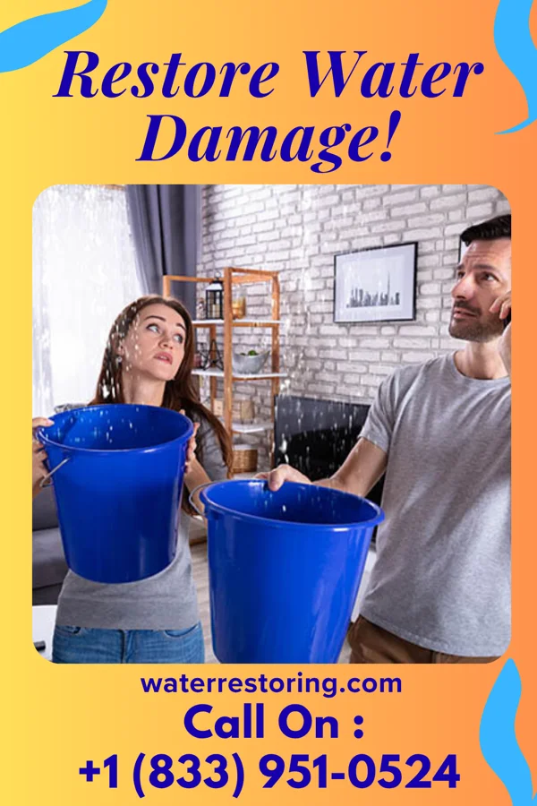 water restoration Ultimate Drying Solutions Hebron
