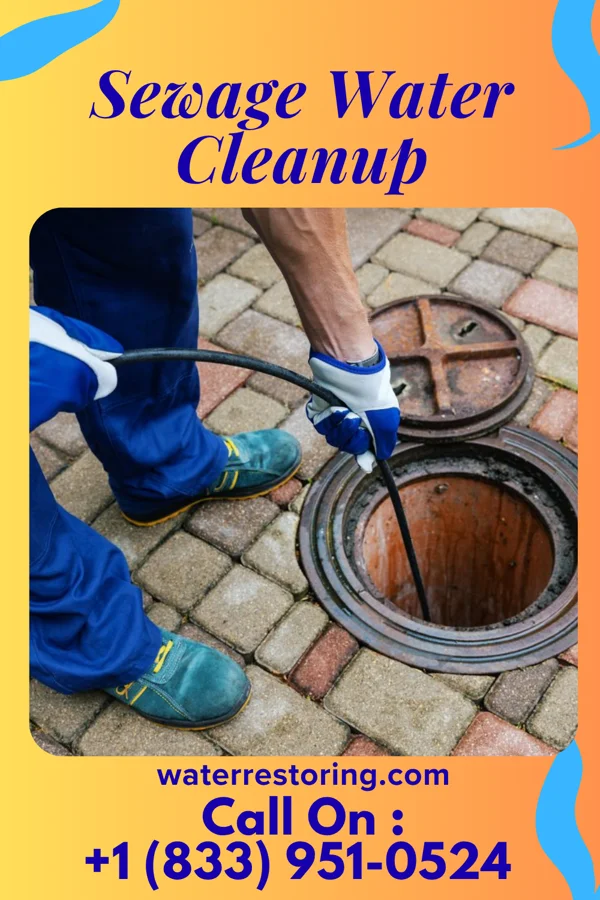 Sewage Water Cleanup in Hebron, IN